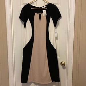 18W Dress NWT